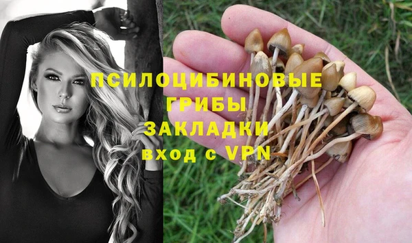спайс Беломорск