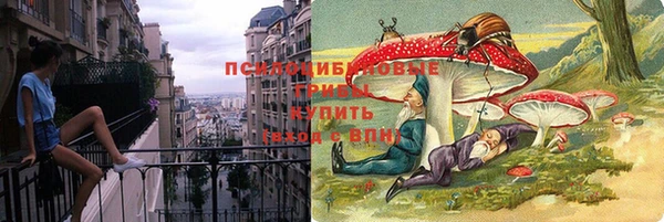 марки lsd Белокуриха