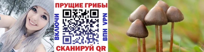 Псилоцибиновые грибы MAGIC MUSHROOMS  Кореновск 